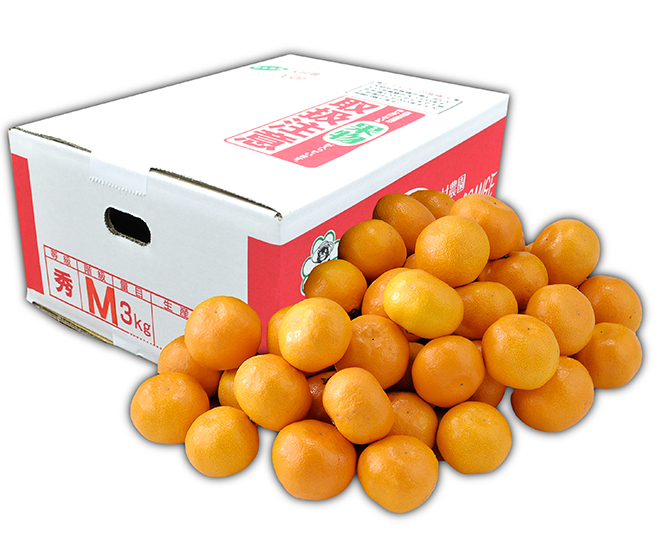 天水みかん3ｋｇ