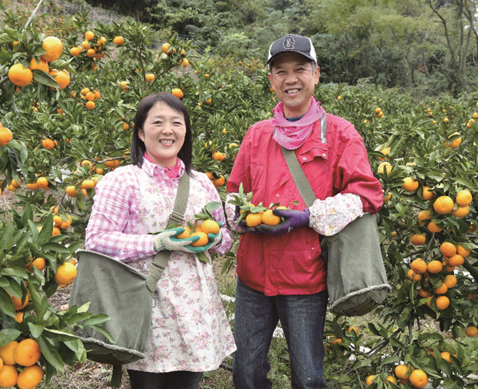 天水みかん3ｋｇ