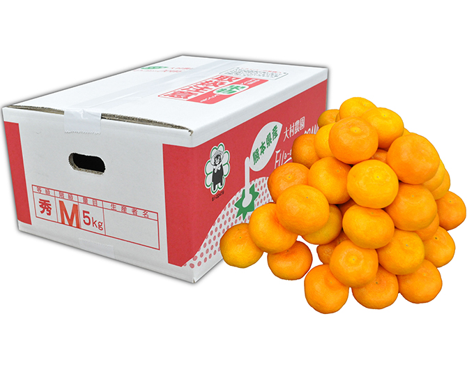 天水みかん5ｋｇ