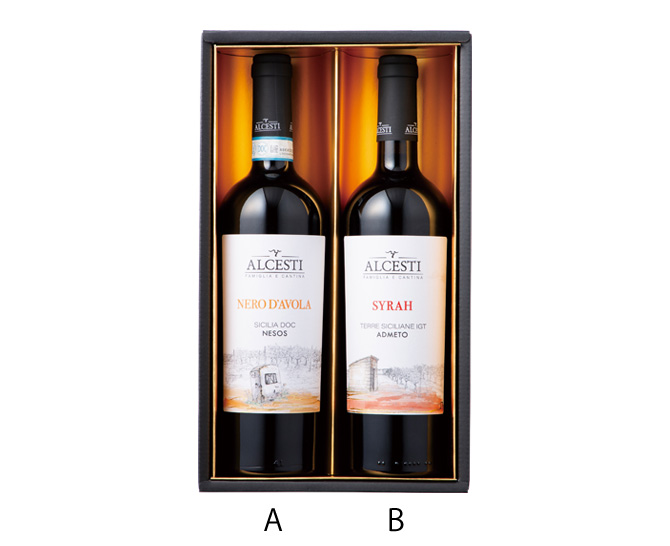 イタリア赤ワイン２本セット